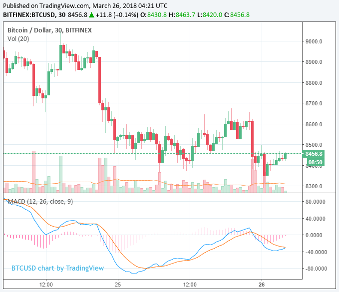 Bitcoin Price Chart