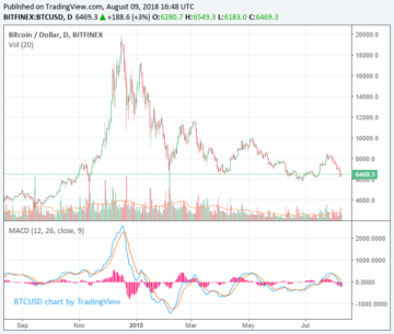 BitMEX visual data 6