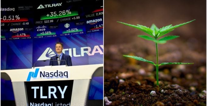 Tilray, cannabis stocks