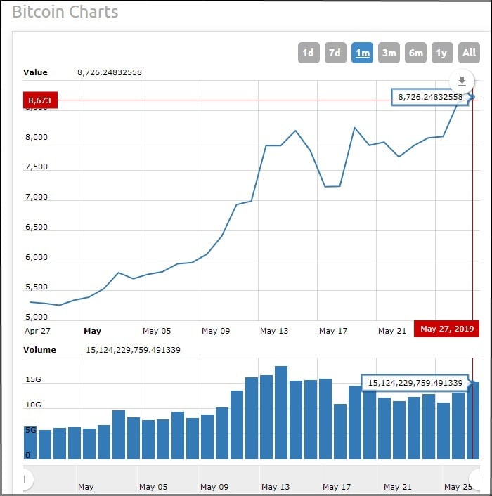 bitcoin price chart may dead cat