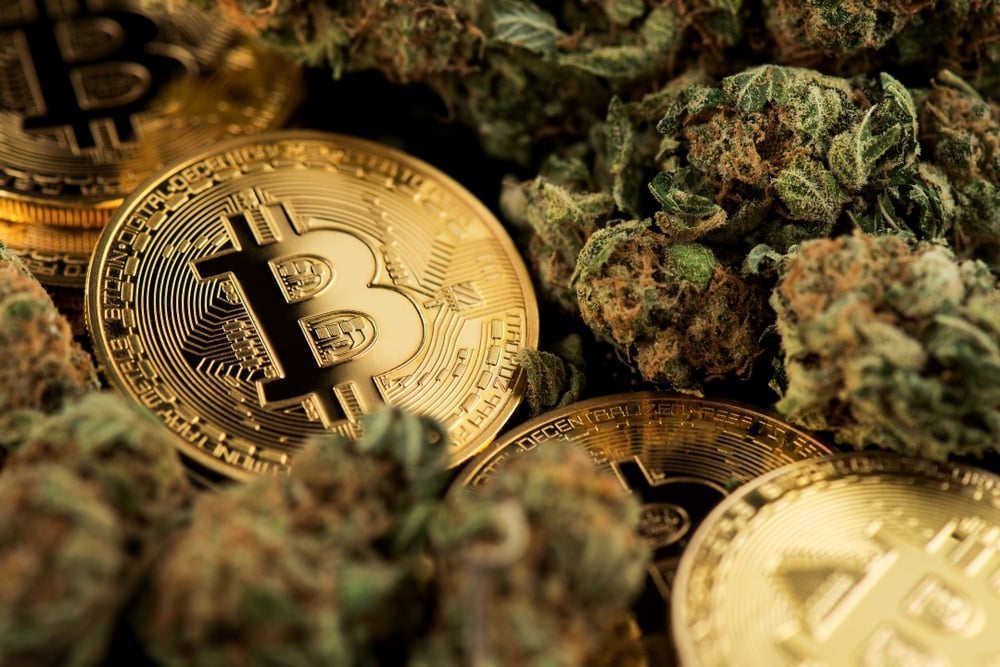 Crypto, cannabis