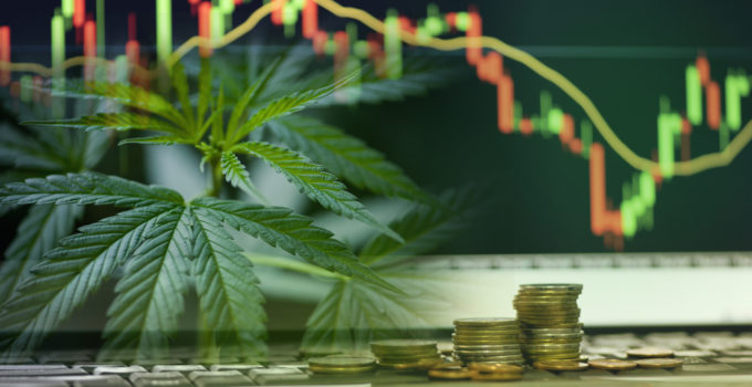 pot stock price chart