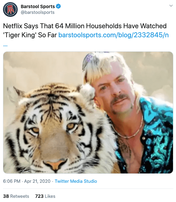 Tiger King ruled the small screen