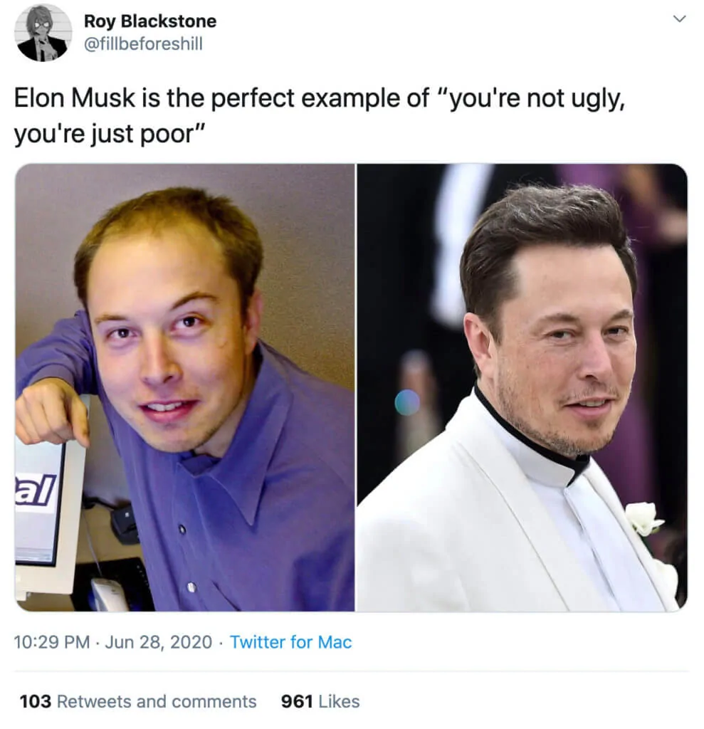 Elon Musk Doesn't Need to 'Beg' for Trolls - We All See His Foolishness