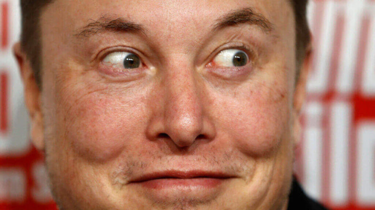 Elon Musk Doesn't Need to 'Beg' for Trolls - We All See His Foolishness