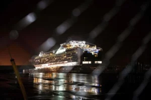 a cruise ship docked in a harbor at night