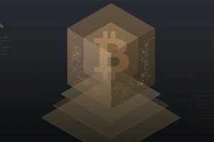 a block with a bitcoin inside of it
