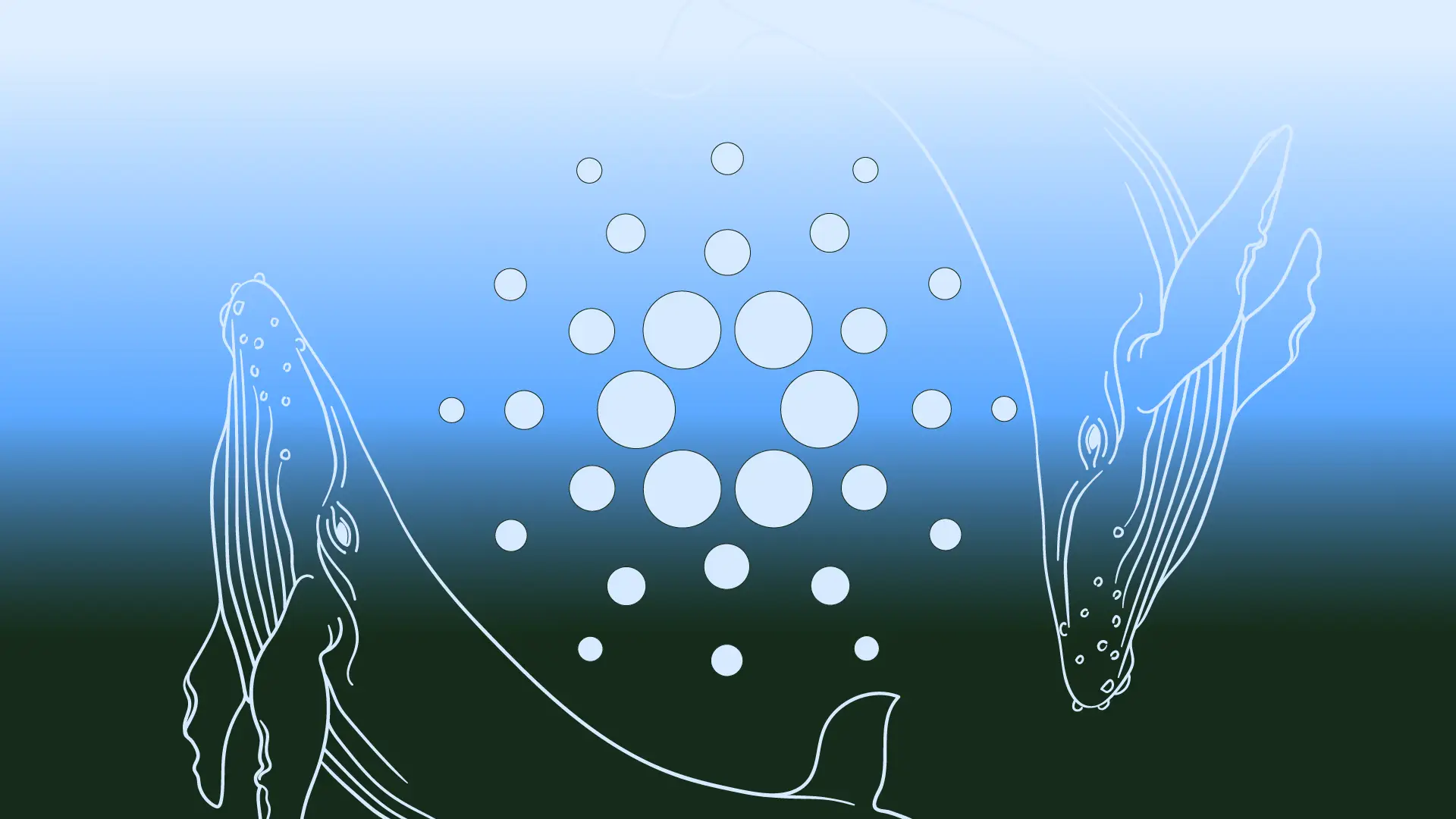 Cardano Transactions Rising: Whales and Institutions Moving Large Amounts  of ADA | CCN.com