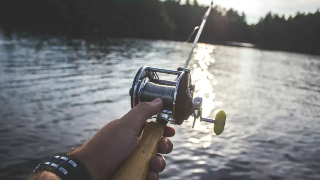 A Fishing rod