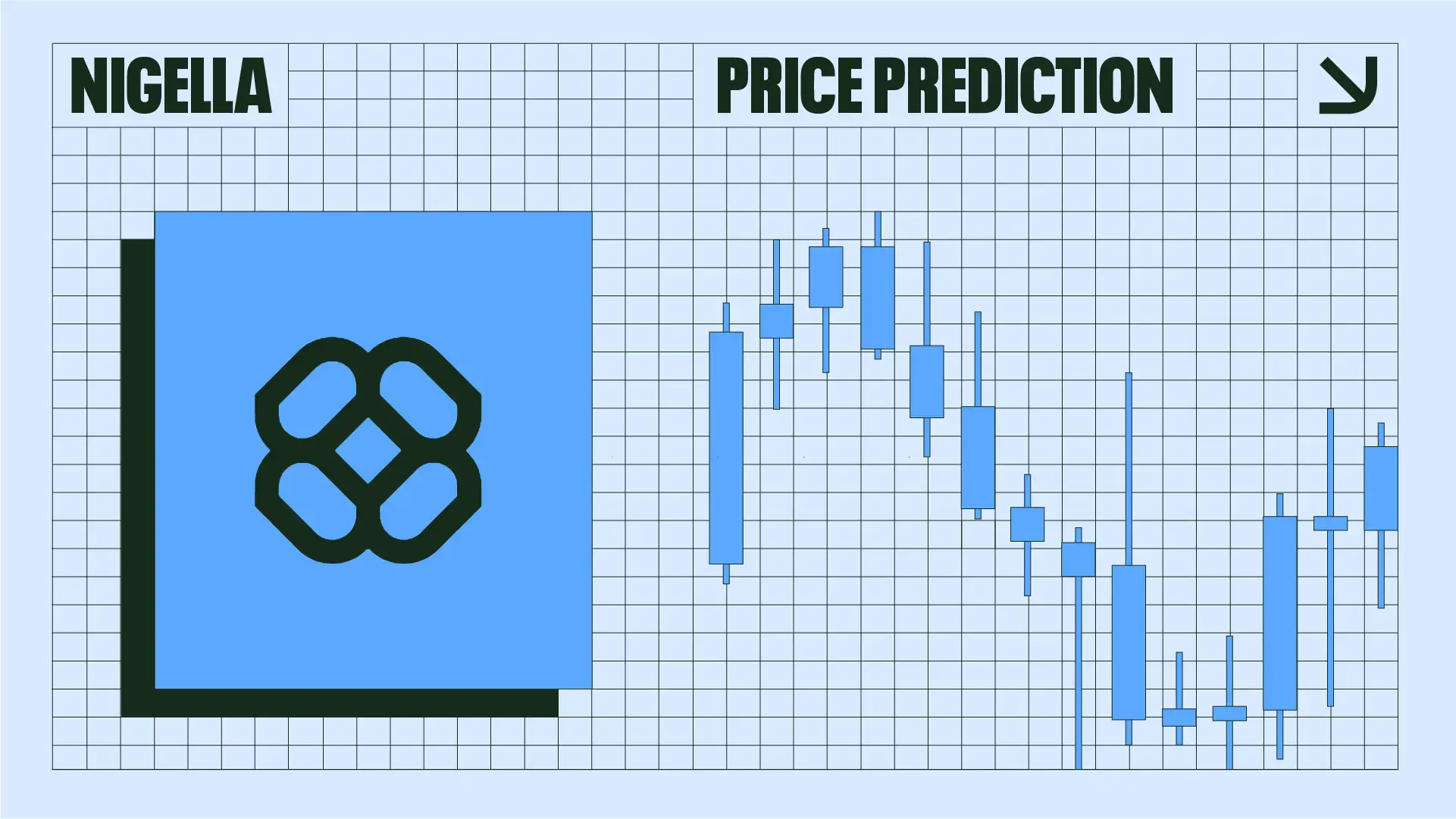 Nigella Coin Price Prediction 2024: NIGELLA Price Analysis | CCN.com