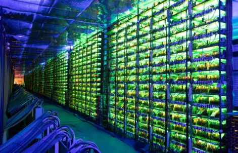 Russia's Minto cryptocurrency mining farm
