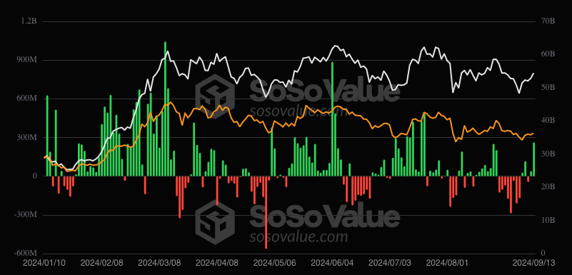 Bitcoin ETF daily inflow/outflow chart.