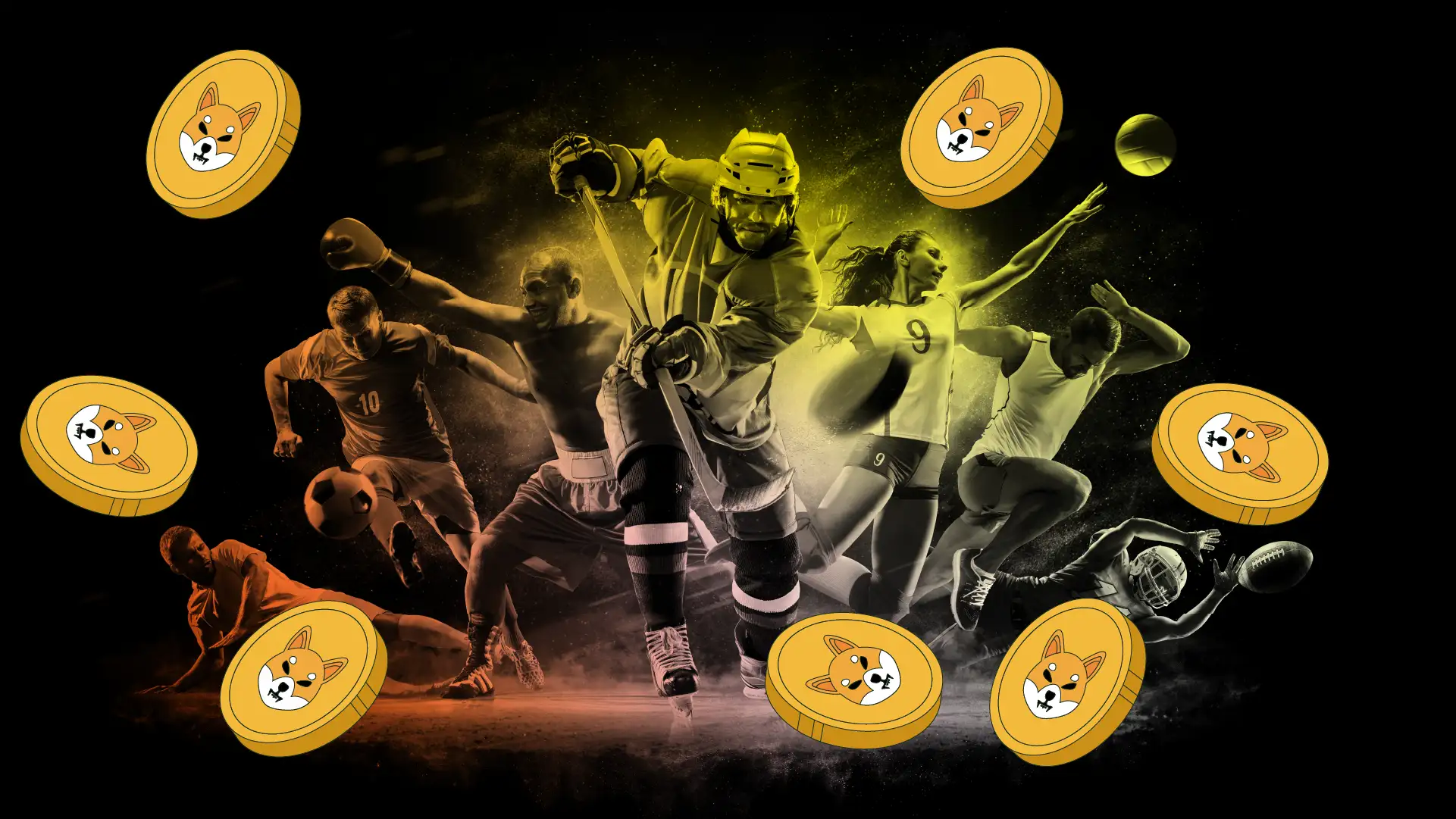 Best Shiba Inu Sports Betting Sites Cover