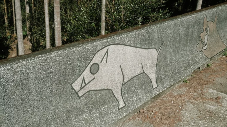 PIg Butchering scams cause $3.6 billion in losses