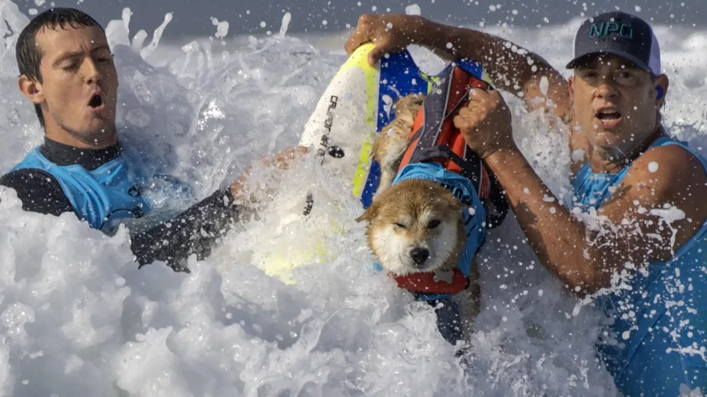 Dogecoin gets its own Bourbon.