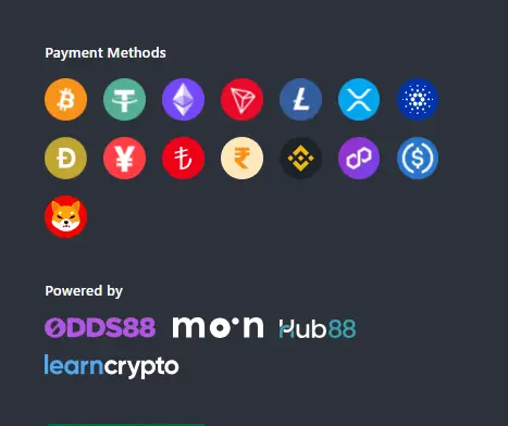 CCN.com screenshot of sportsbet.io payment methods