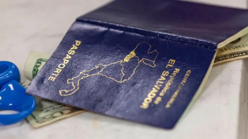 How To Get a Passport or Visa Using Crypto (2025 Guide)