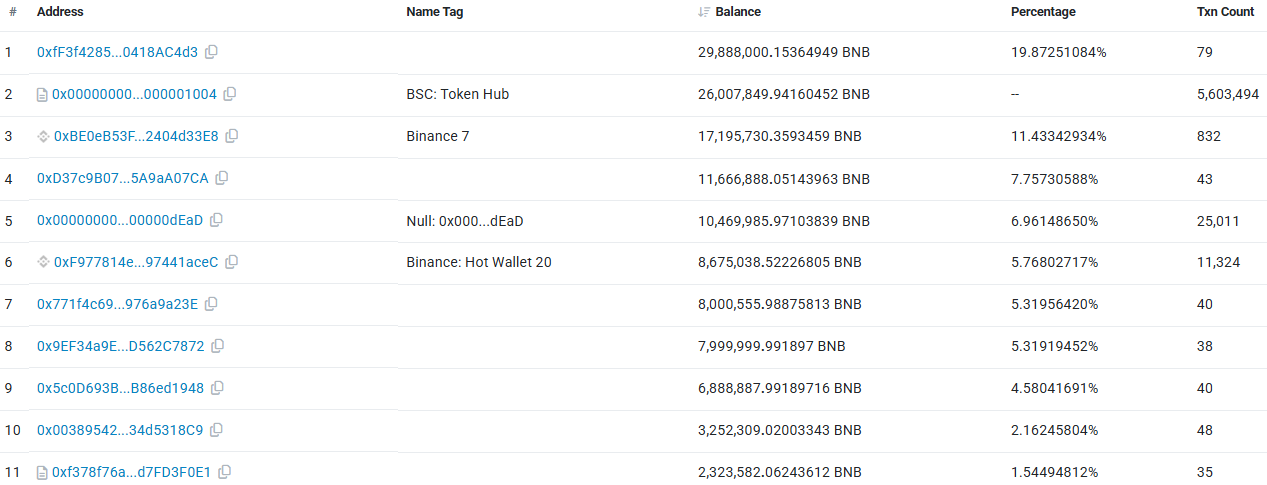 Top 11 BNB holders