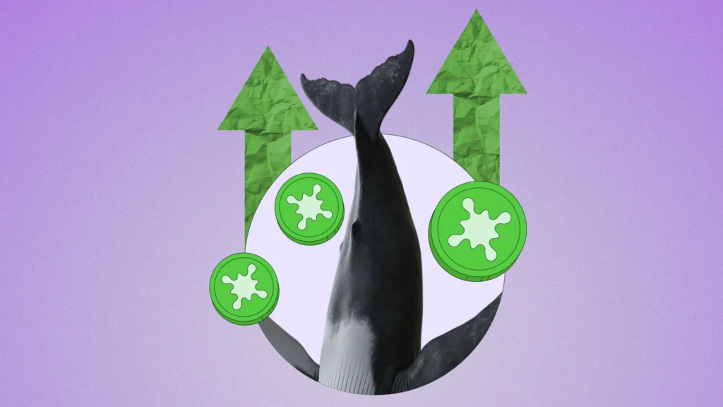 Bio Protocol Price Skyrockets 350% as Whales Accumulate 130 Million BIO