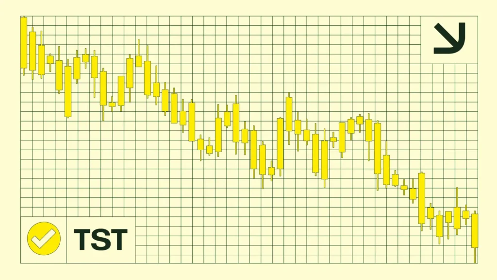 BNB Chain Memecoin Test Token (TST) Crashes 45% — Community Left in the Dark