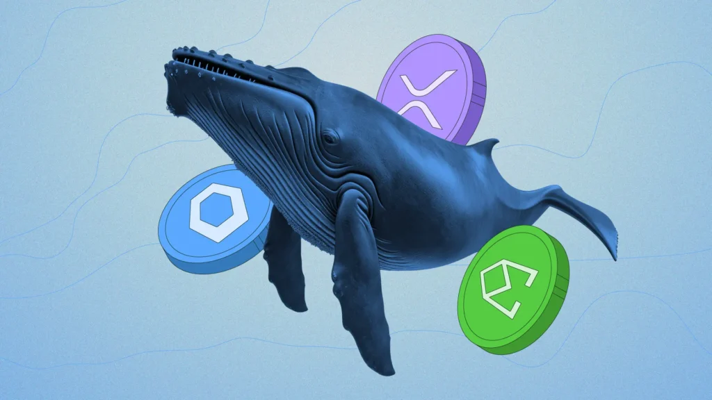 Crypto Whales Are Targeting These Altcoins for Potential Returns in September 2025