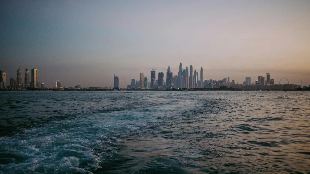 The Arabian Gulf is rapidly emerging as one of the world's centres of artificial intelligence and has one of the most developed blockchain regulations.
