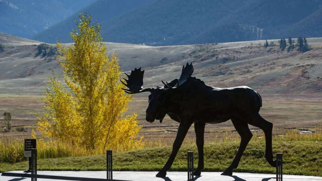 Stablecoins set to proliferate in Wyoming.
