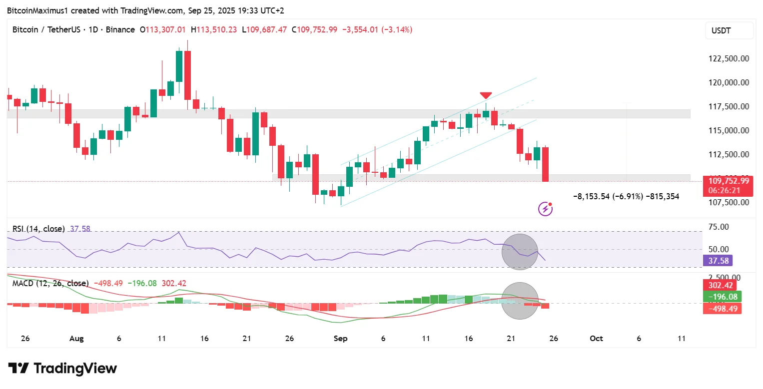 BTC Daily
