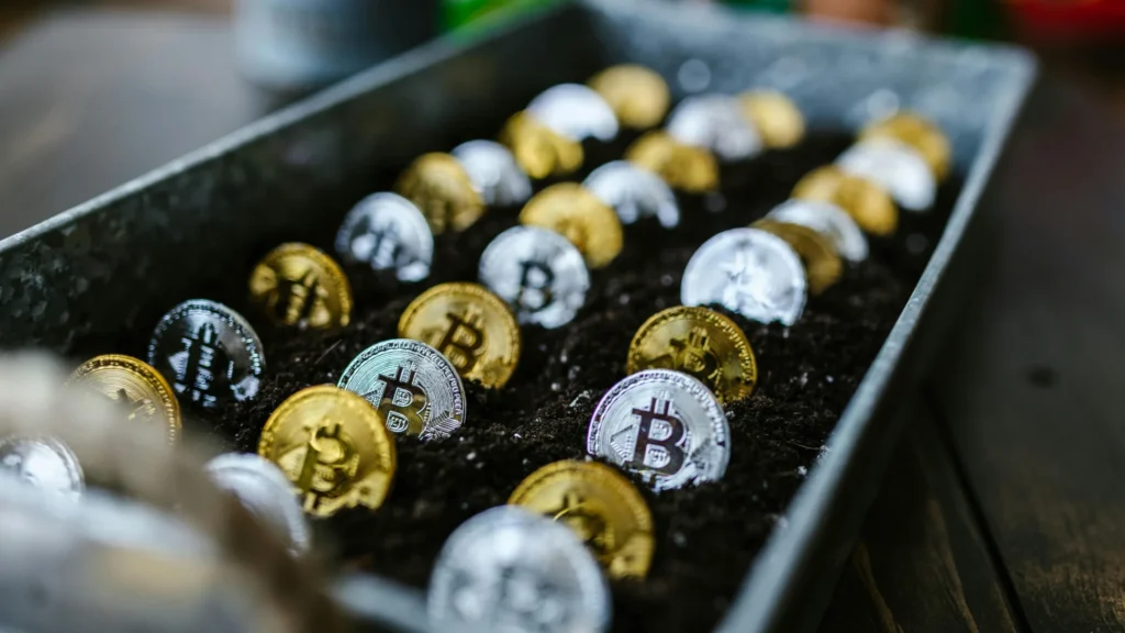 How To Spot a Crypto Investment Scam: If It Sounds Too Good to be True, It Probably Is