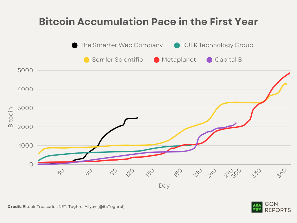 SWC Stock Valuation: Bitcoin Treasury and Governance Risks