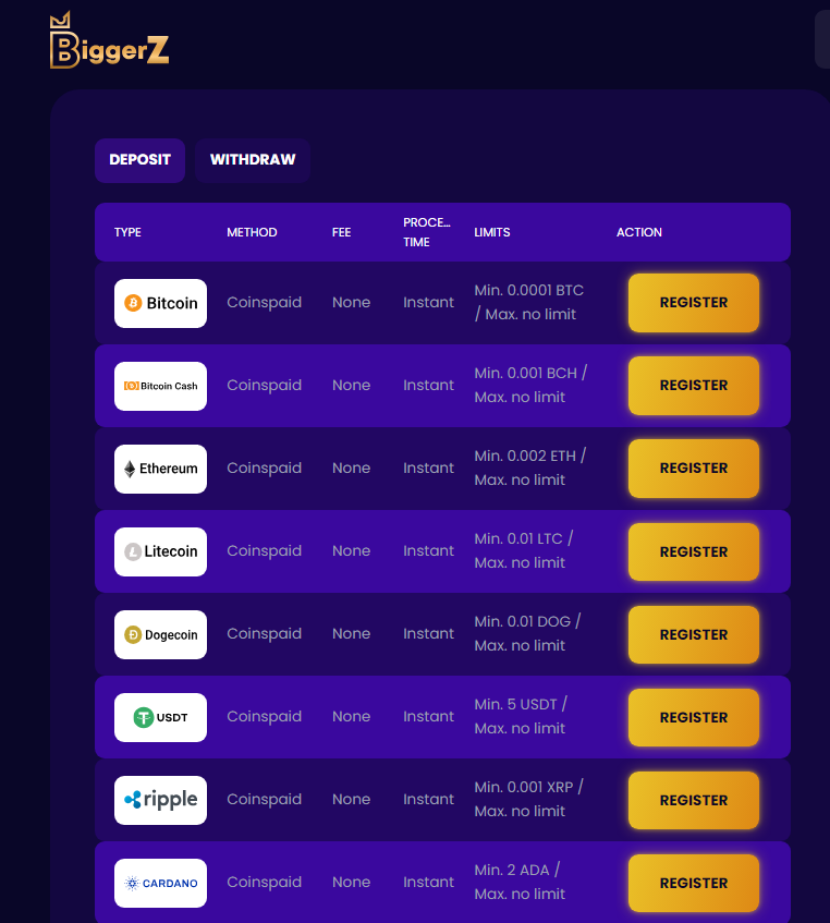 CCN.com BiggerZ casino review banking screenshot