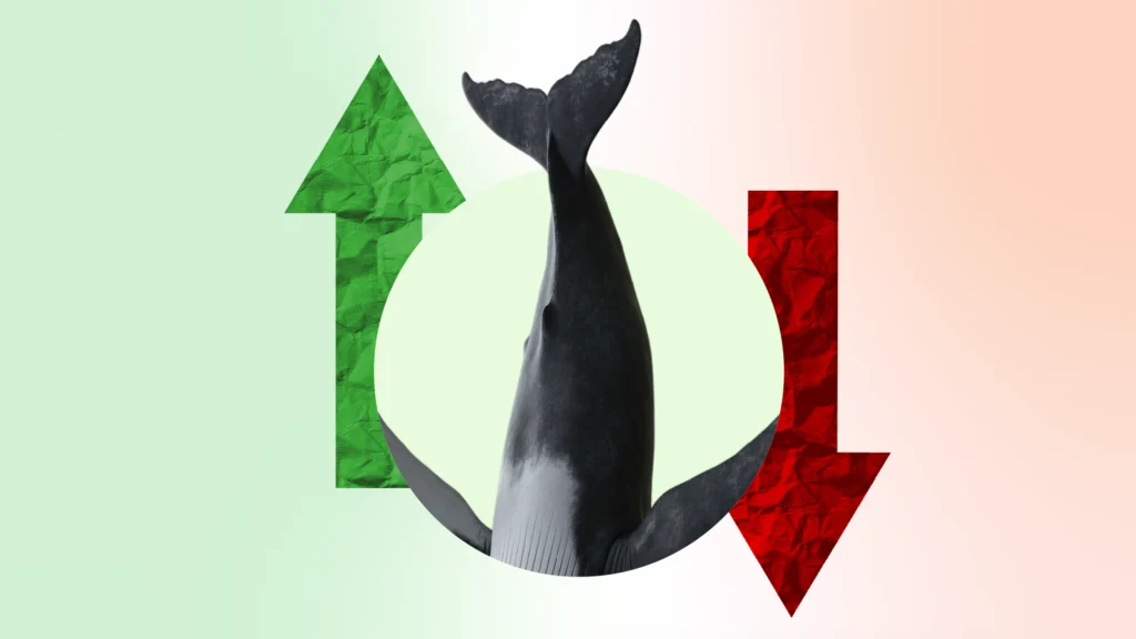 Crypto Whale Ditches $91M Bitcoin Short for Longs: Will BTC Price Follow the Signal in December?
