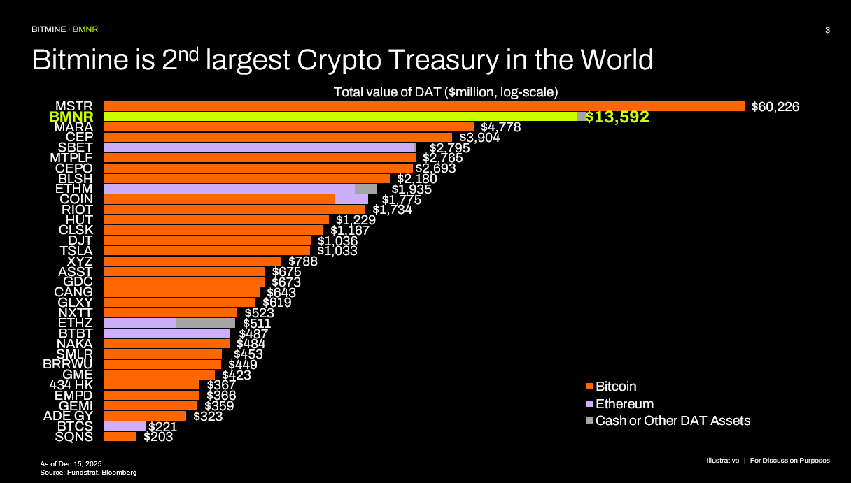 Bitmine holdings