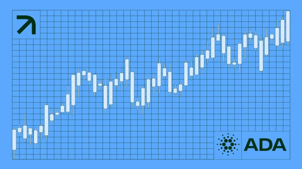 ADA Article