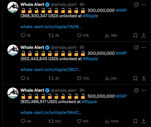 Whales activity