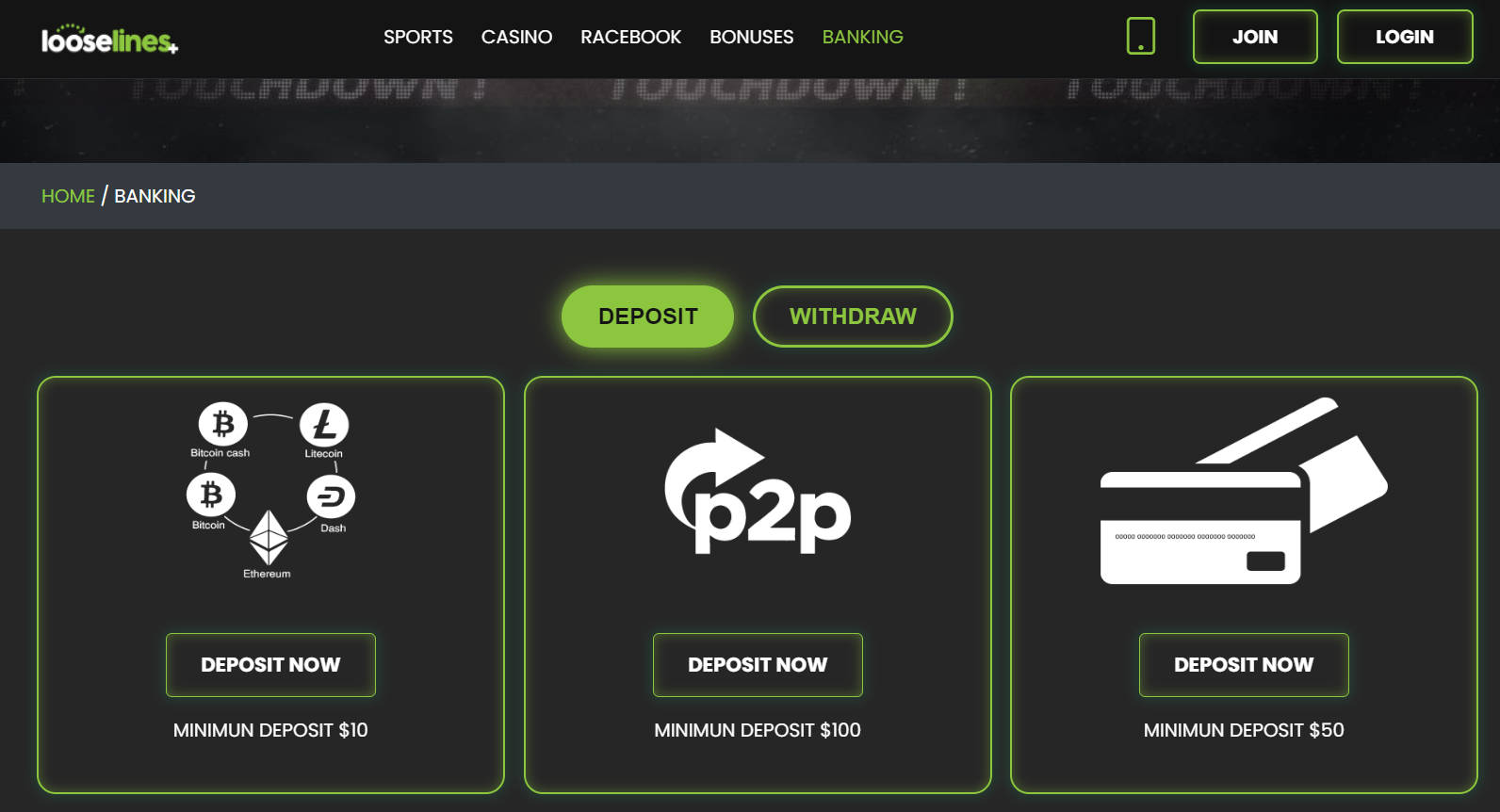 CCN Looselines review banking methods screenshot