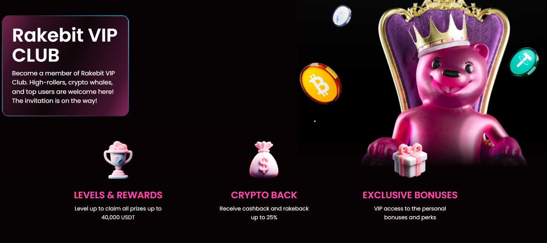 CCN rakebit review vip program screenshot