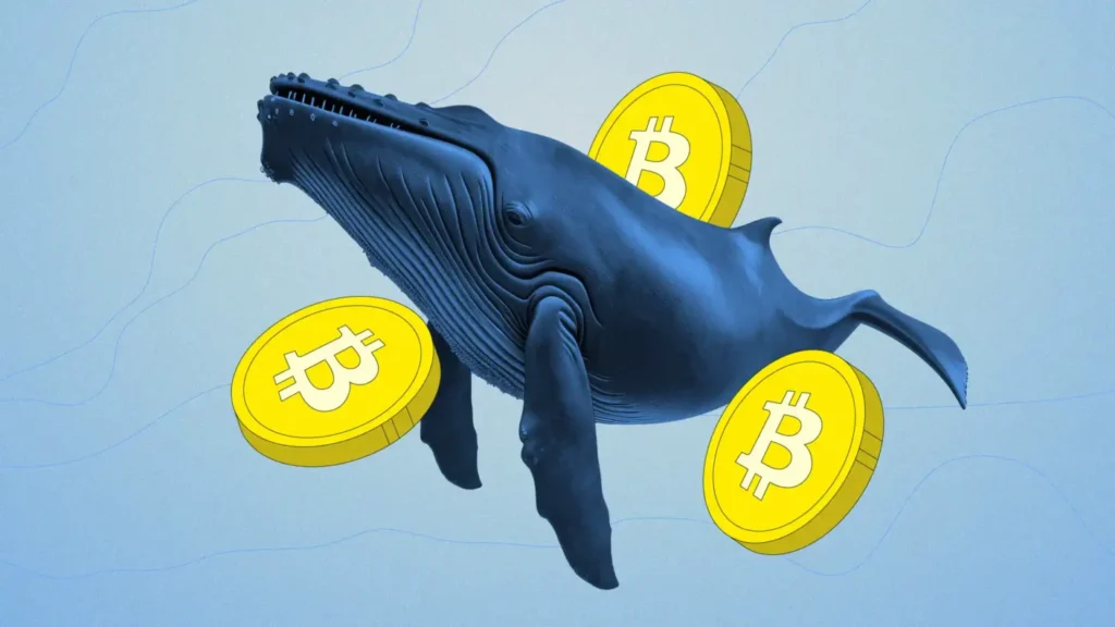 Bitcoin's price fell to its lowest level since October 2024 as Santiment data showed Bitcoin whale supply hit a 9-month low.