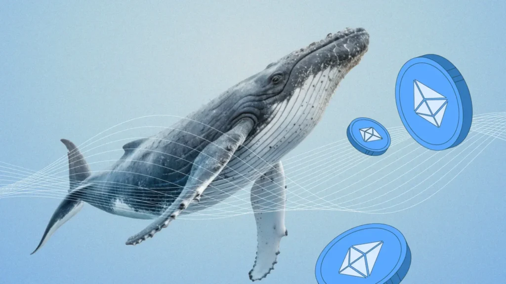 Whales Selling Ethereum? 10-Year Dormant ETH Holder Moves $23M As Tom Lee’s Bitmine Buying Continues