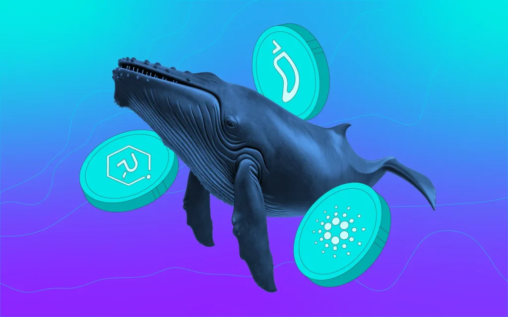 Crypto Whales Are Buying These 3 Altcoins for Potential Gains in April 2026