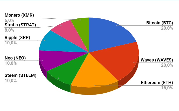Crypto portfolio allocation