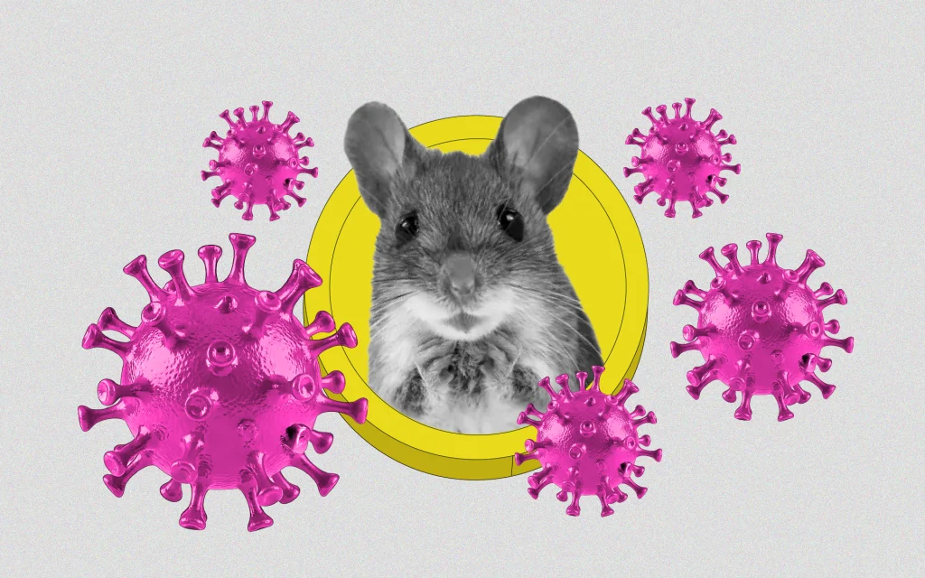 HANTA Solana Memecoin Explodes 100x as Hantavirus Outbreak Goes Viral: Analyzing the How, Why and What Next