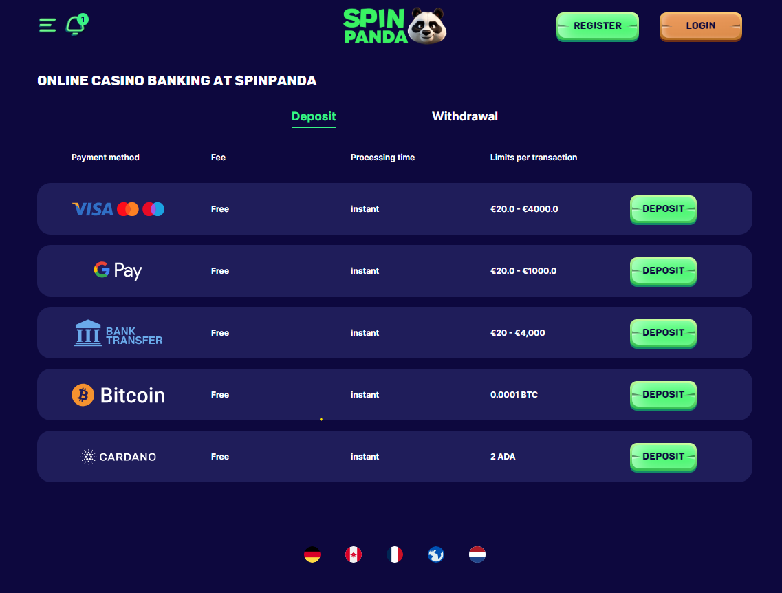 Spin Panda casino review banking section screenshot