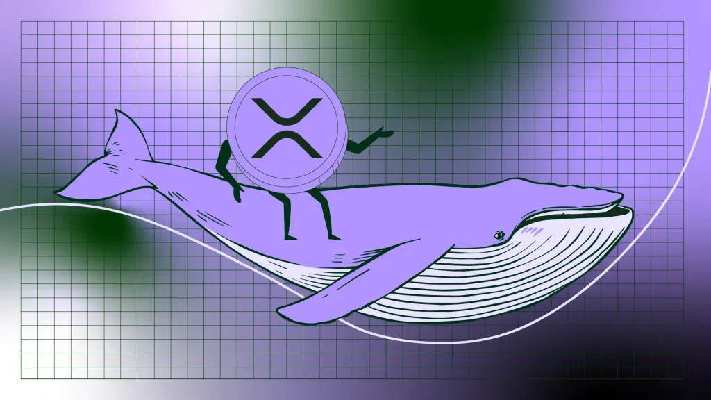 XRP Whales Have Not Been This Loaded Since 2018 — Here’s Why $1.70 Could Be the Next Domino to Fall