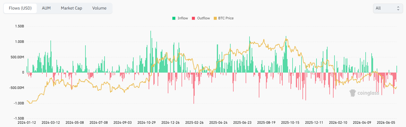 Bitcoin spot ETF net inflow