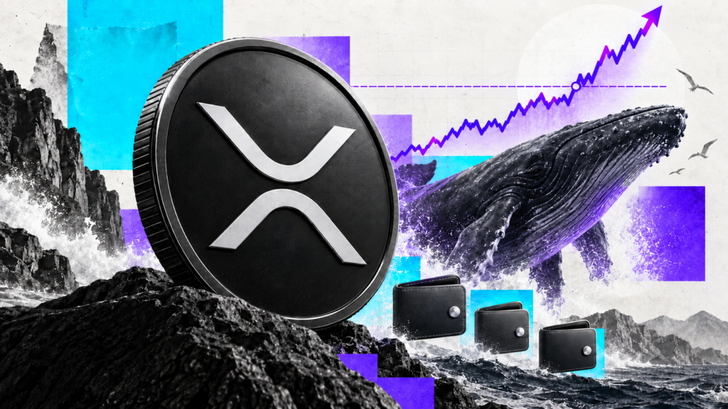 XRP Breaks $1.60 as 1,917 Whale Transactions and 3,647 New Wallets Ignite Rally
